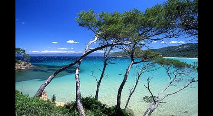 Petit Coin De Paradis Les Pieds Dans L'Eau La Londe-les-Maures Esterno foto